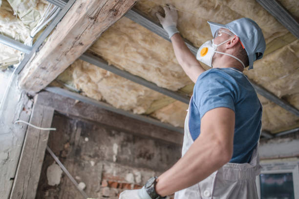 Best Eco-Friendly Insulation in Indian Hills, TX